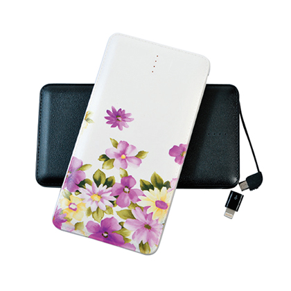 皮紋卡行動電源-10000mAh